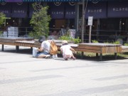 「企業さんの清掃ボランティア活動」の画像