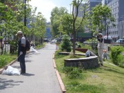 「暑い中での雑草取り」の画像