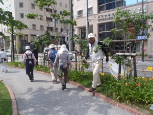 「雨の中 植物ボランティアがんばりました」の画像