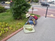 「お助け隊がんばる」の画像