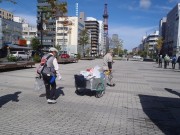 「カラスと雑草に対抗　２つのボランティア」の画像