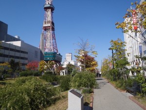 「秋の公園」の画像