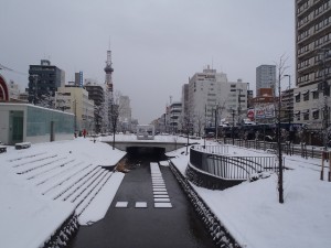 「雪が降りました　公園も冬に突入」の画像