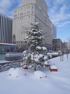 「クリスマスツリー」の画像