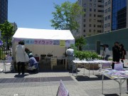 「ありがとうございました　ライラックまつり」の画像