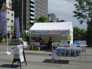 「ライラックまつり開催中」の画像