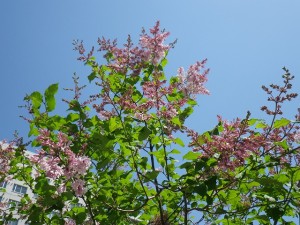 ジェームズマクファーレン0602-02