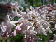 ジェームズマクファーレン0602-03