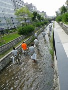 「６月３０日の活動２つ」の画像