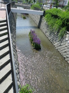 「川の中」の画像