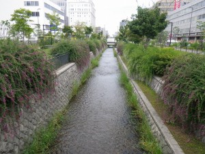 「これからハギの花がたのしめます」の画像