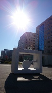 「11月の公園とおひさま」の画像