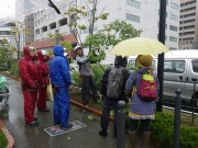 「10月の植物ボランティアとお助け隊」の画像