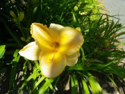 エッチドインゴールド0706