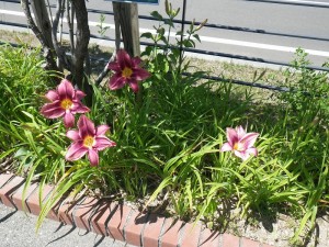 ロシアンラプソディー0710 (3)