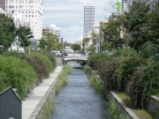 「秋の七草ハギの花」の画像