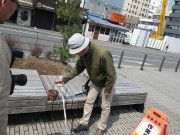 「本日「ハルニレ」を植樹しました。」の画像