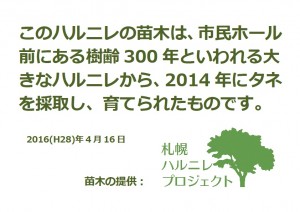 札幌ハルニレプロジェクト