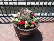 「狸二条広場のコンテナに花を植えこみました」の画像
