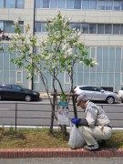 お助け隊0518 (7)