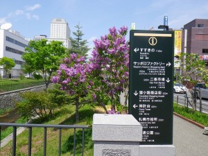 「ライラック情報」の画像