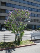 プレジデントリンカーン0514-06