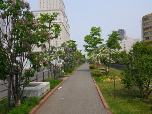 ライラックウォーク0520 (10)