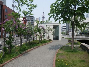 ライラックウォーク0520 (29)