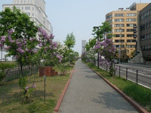 ライラックウォーク0520 (9)