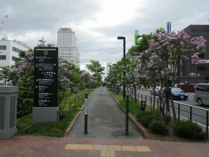 ライラックウォーク0525 (10)