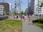 植物ボラ0517 (1)