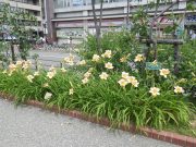 エドナスポールディング0801 (2)