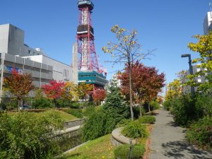 「木々も色づいてきました、今週末ハロウィンです」の画像