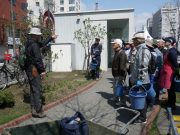 植物ボランティア0502