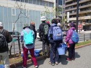 植物ボランティア0502