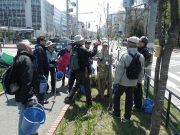 植物ボランティア0502