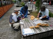 植物ボランティア