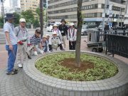 植物ボランティア