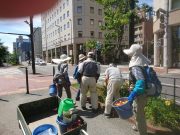 植物ボランティア