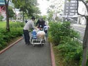 植物ボランティア