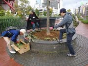 植物ボランティア１００３