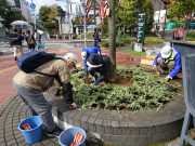 植物ボランティア１００３