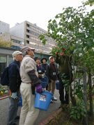 植物ボランティア１０１７