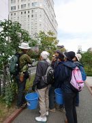 植物ボランティア１０１７