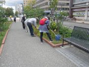 花くらぶ０９１４