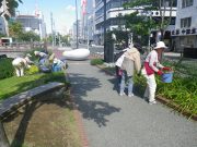 植物ボランティア０９２６