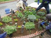 花くらぶ０９２８