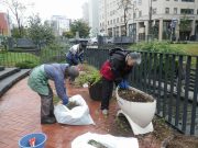 花くらぶ１０１２