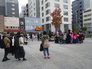 創成川ハロウィン８