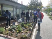 花くらぶ１０２６－１